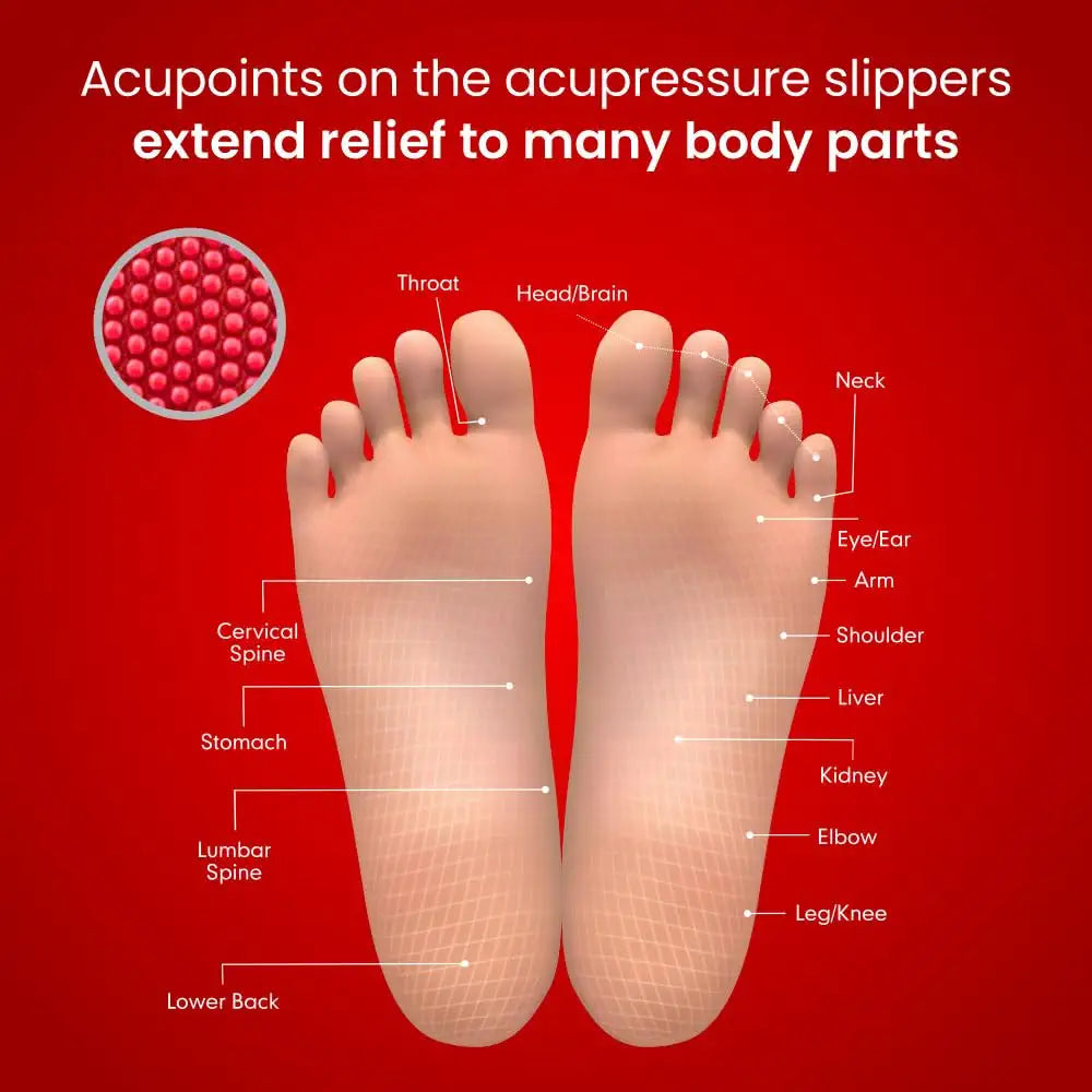 Dr. Ortho Orthopedic Acupressure Slippers for Men & Women | Pain Relief Flip Flops | Comfortable Anti-Slip Footwear